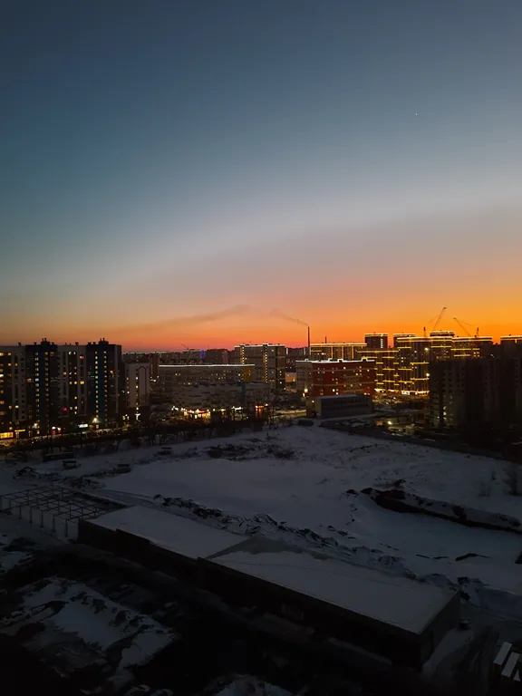 Рыжий Кот Дружный (просторная 2-ка с изолированной спальней)