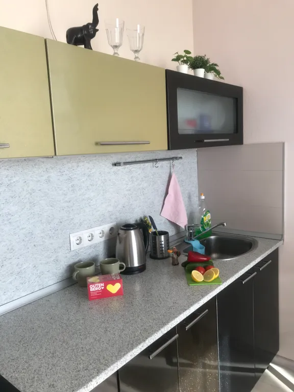 ЖД Вокзал,Метро5-7минут,ЦЕНТР,АвисМед,ЗООПАРК,Клиника глазная Федорова