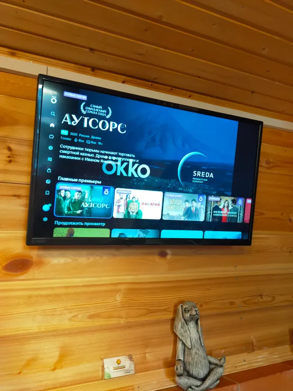 Дом с баней на дровах