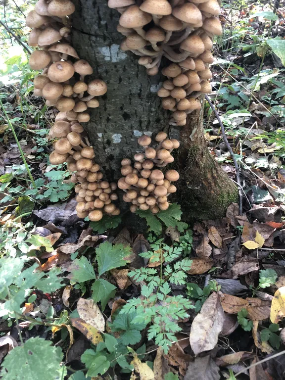 Домик в глуши