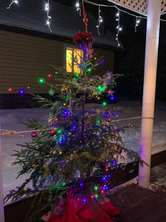 Коттедж Загородный уютный дом с баней и калиткой в лес — Большие Семенычи