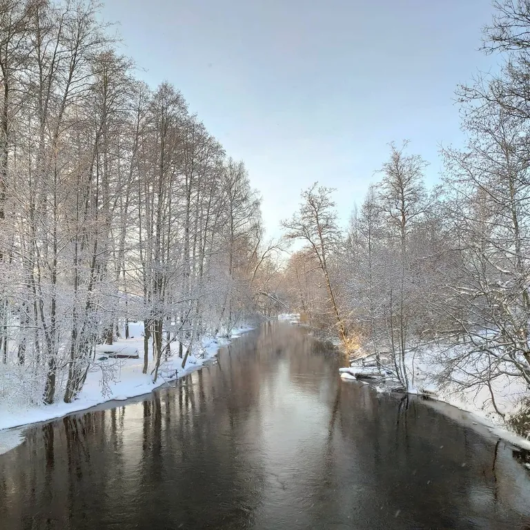 Коттедж Дом с террасой прямо на берегу реки — Торфяное