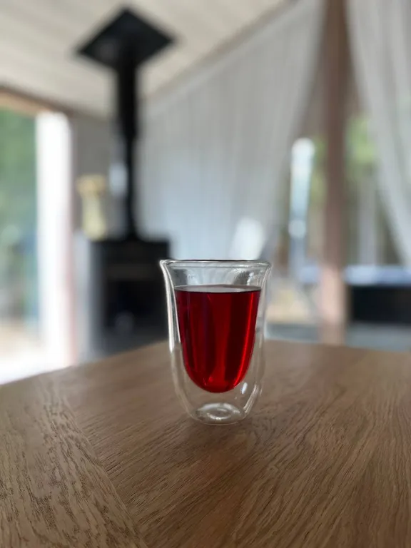 Панорамный дом с видом на лес и банным чаном