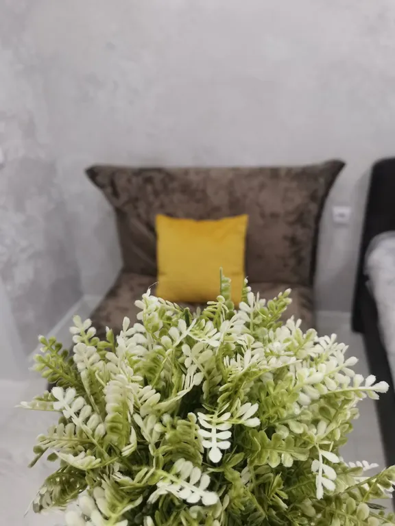 Квартира в Яблоневом