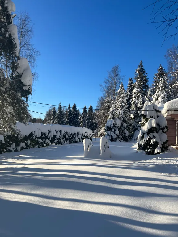 Дом Плещеево