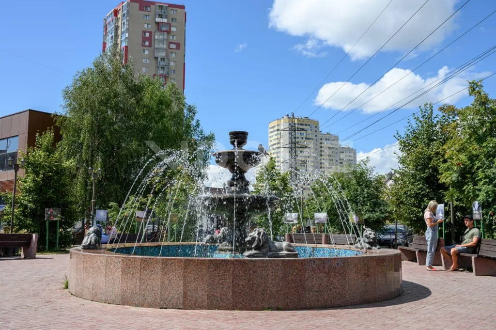 Квартира Квартира в Зеленом бору — Новосибирск