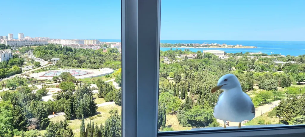 Квартира 1-комнатная Квартира — Севастополь