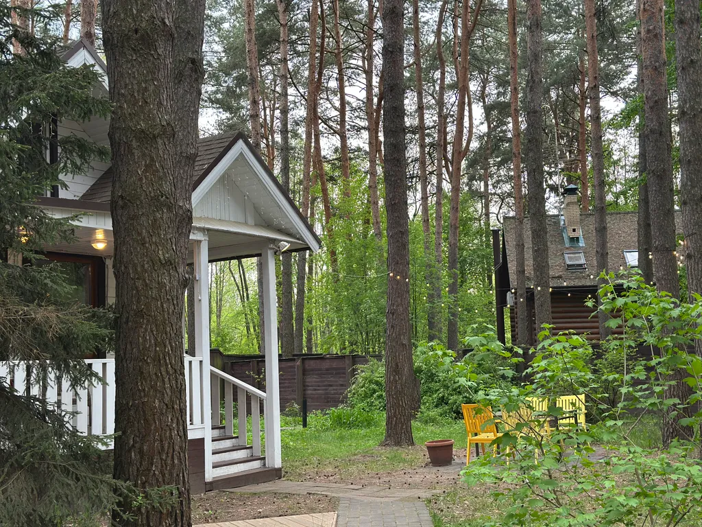 Загородный дом в соснах недалеко от Москвы
