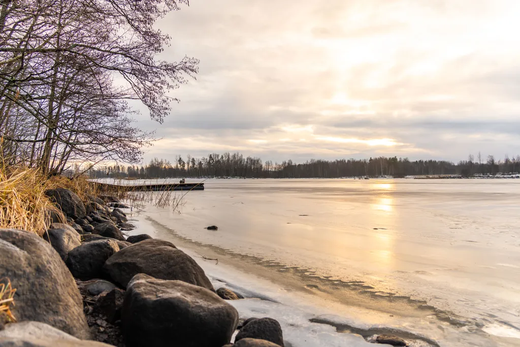 Дом с видом на лес