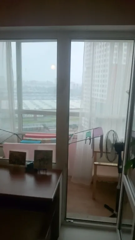 Студия у Шуваловского парка