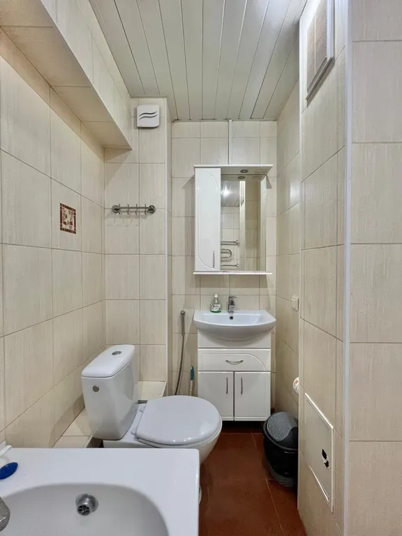 Хвостики на отдыхе. Арбат