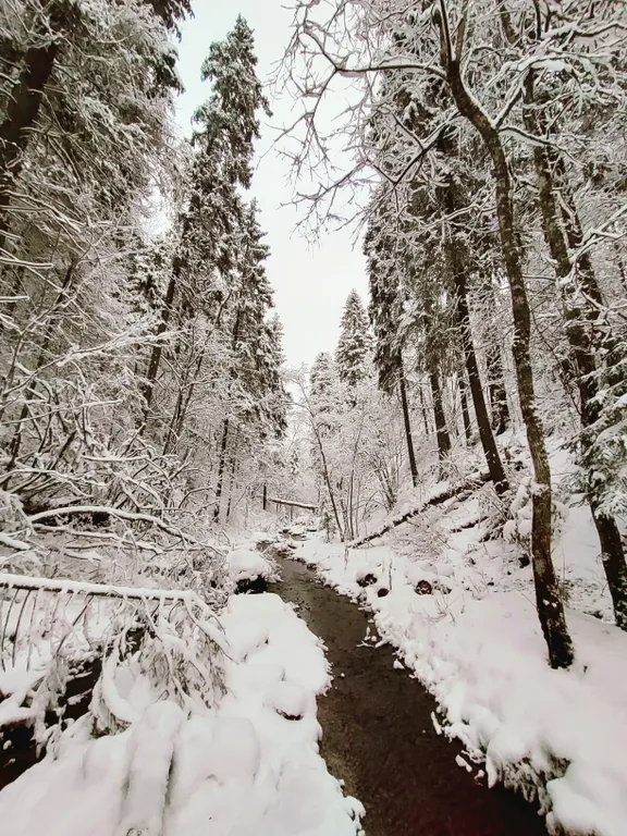 Дача Ласточка новый дом для вашего отдыха