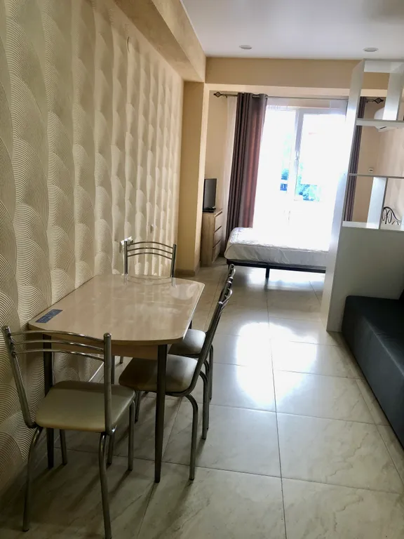 Просторная уютная студия