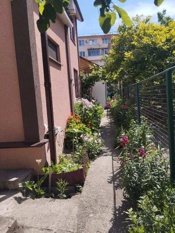 Коттедж 1-комнатный Дом — Адлер