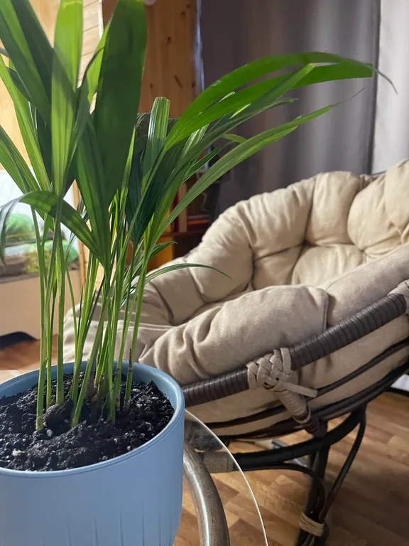 Коттедж Домик в центре города — Пятигорск