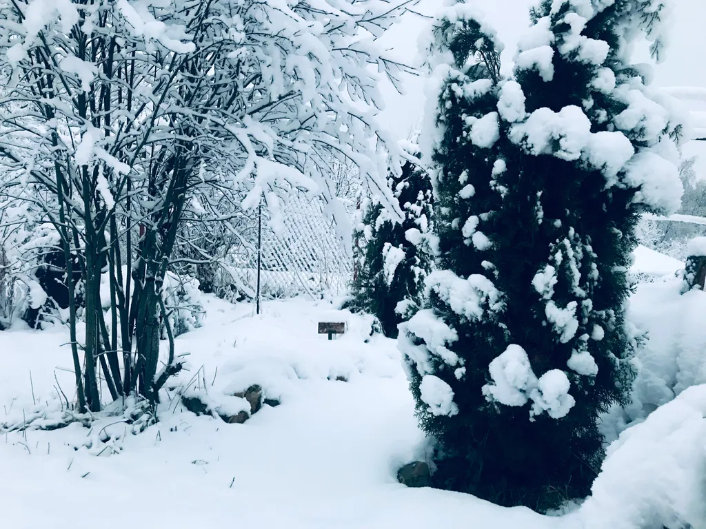Три Галки Дом в саду