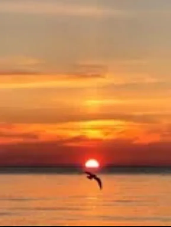 Апартаменты у моря