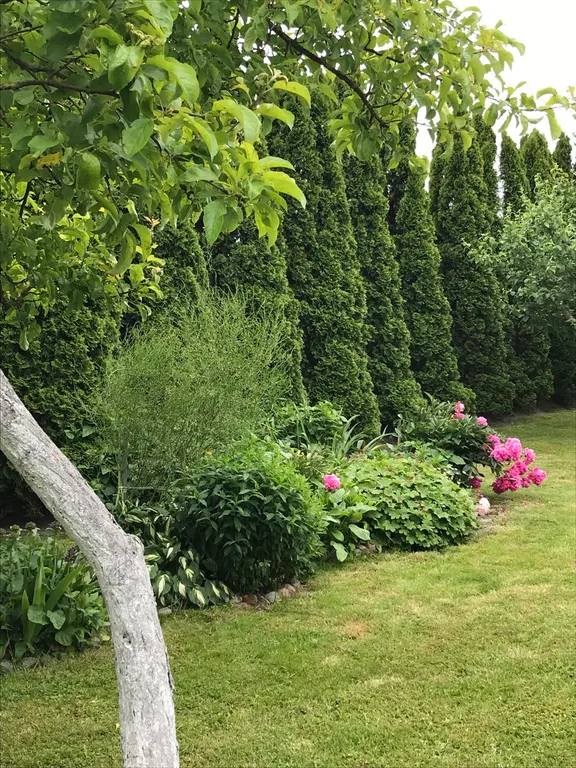 Коттедж Коттедж Лайтхаус Кот Маркиз 1А — Зеленоградск