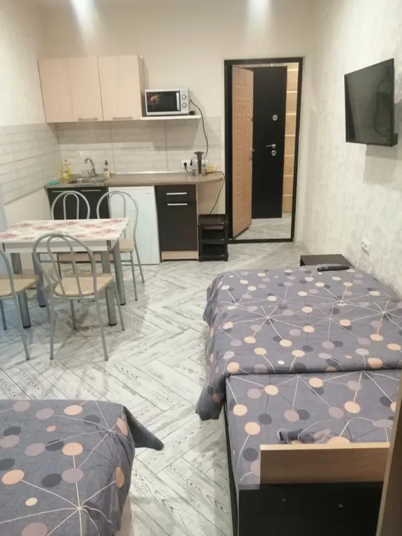 Квартира Квартира Студия в Олимпийском парке — Сириус