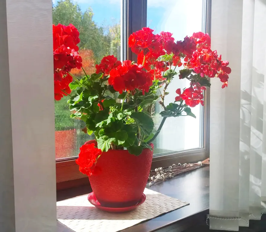 Уютная квартира рядом с остановкой Сортавала-центр