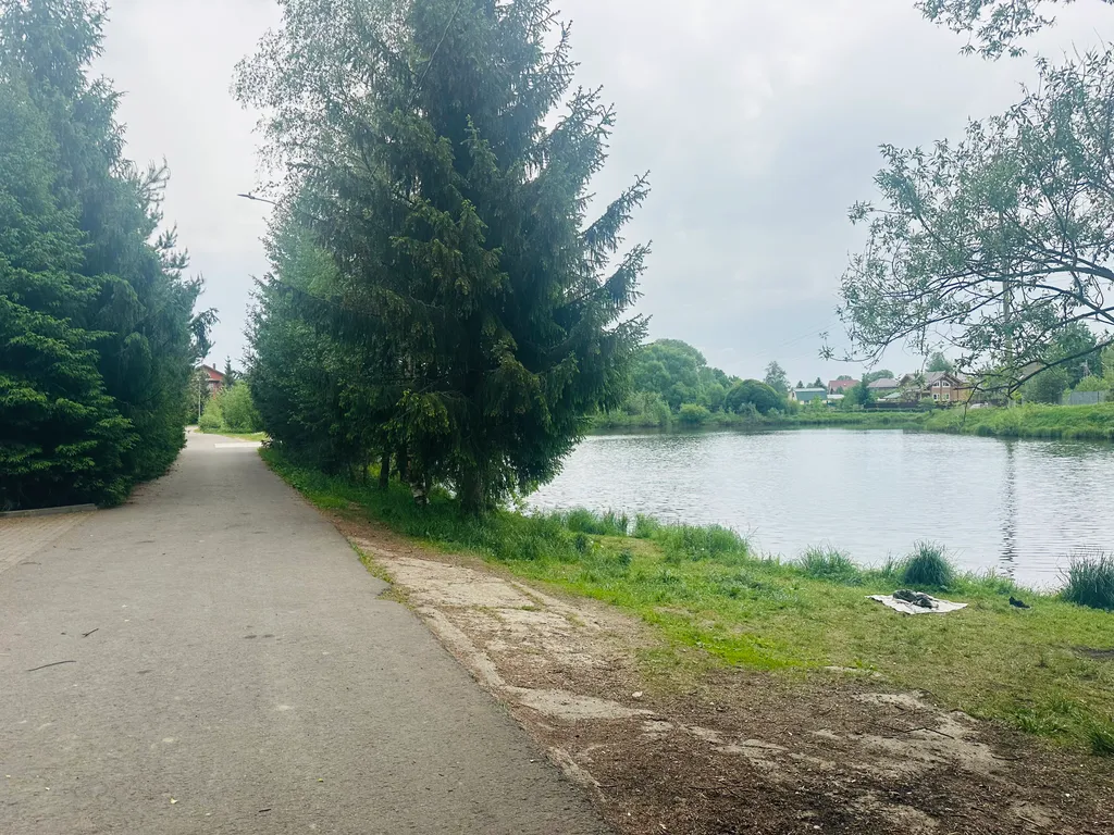 Дом с бассейном у леса