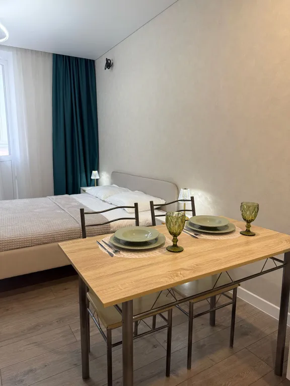 Современная квартира в центре города, студия