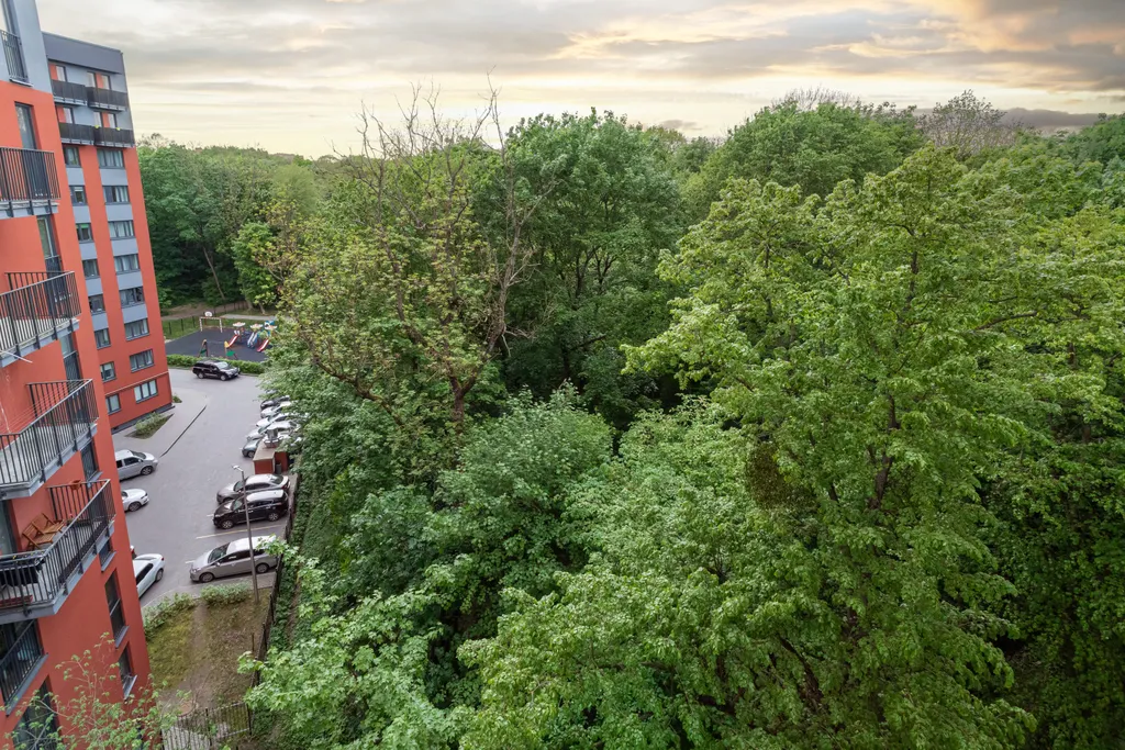 Комфорт у Королевских ворот