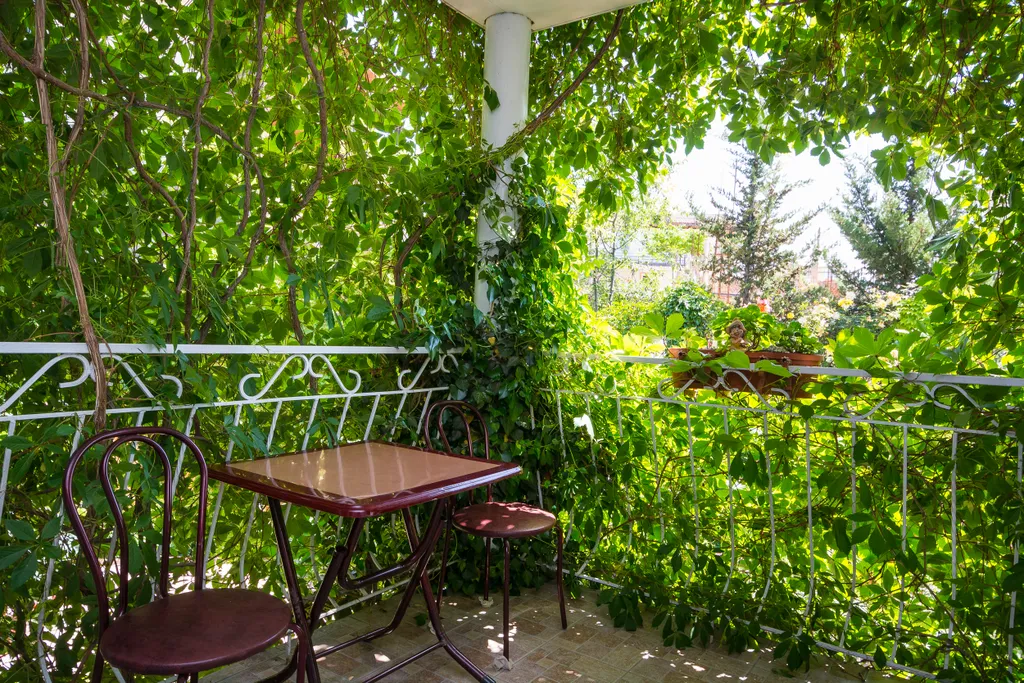 Уютные номера в доме