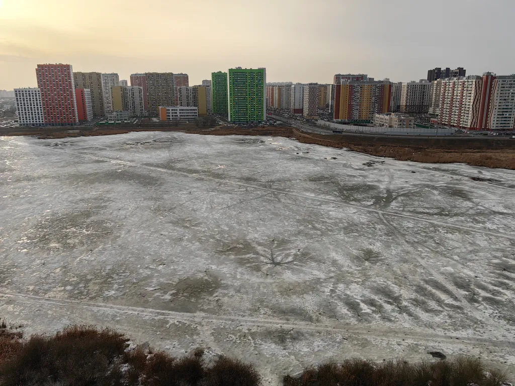 Двушка Дерзкие коты Милые пёсики