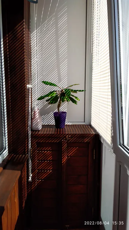 Квартира Уютная квартира в историческом районе города — Калининград