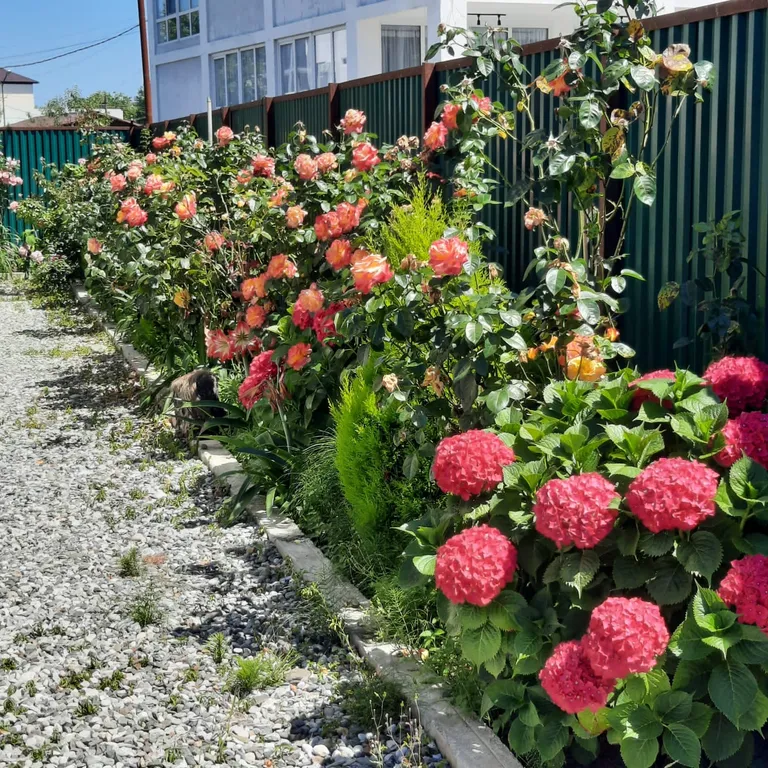 Квартира Квартира Гостевой дом в тихом уютном месте — Алахадзы