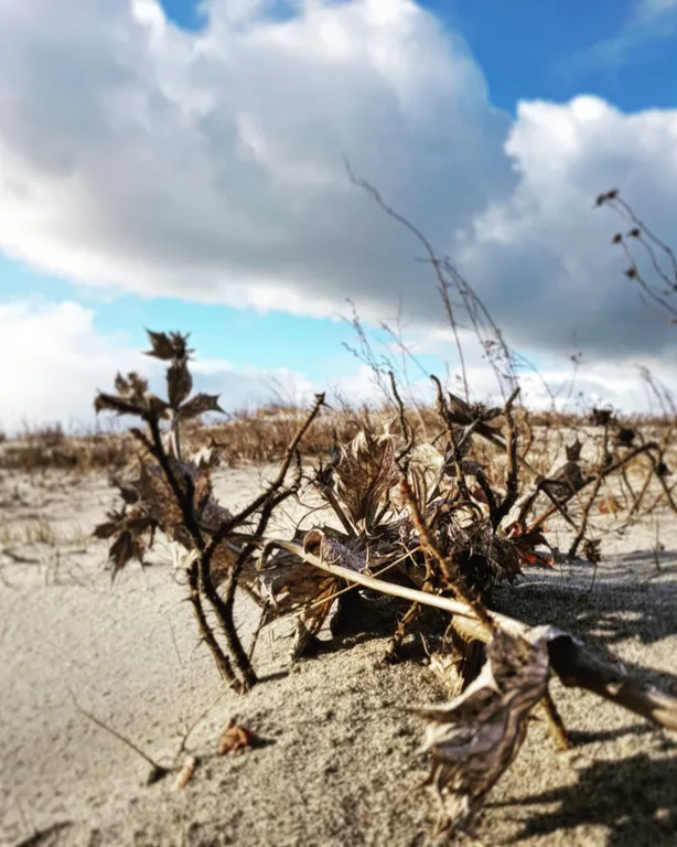 Уютная квартира в 5-ти минутах от моря