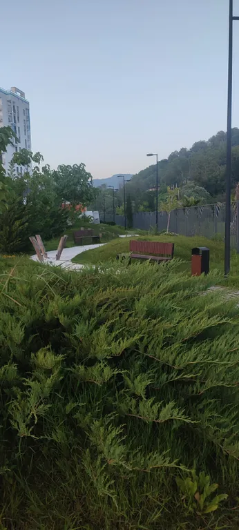 Студия у реки