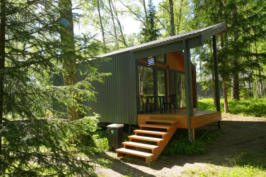 Дом с видом на лес