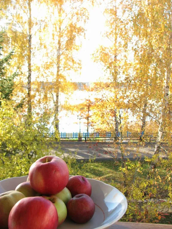 Уютная квартира на Браславских озёрах