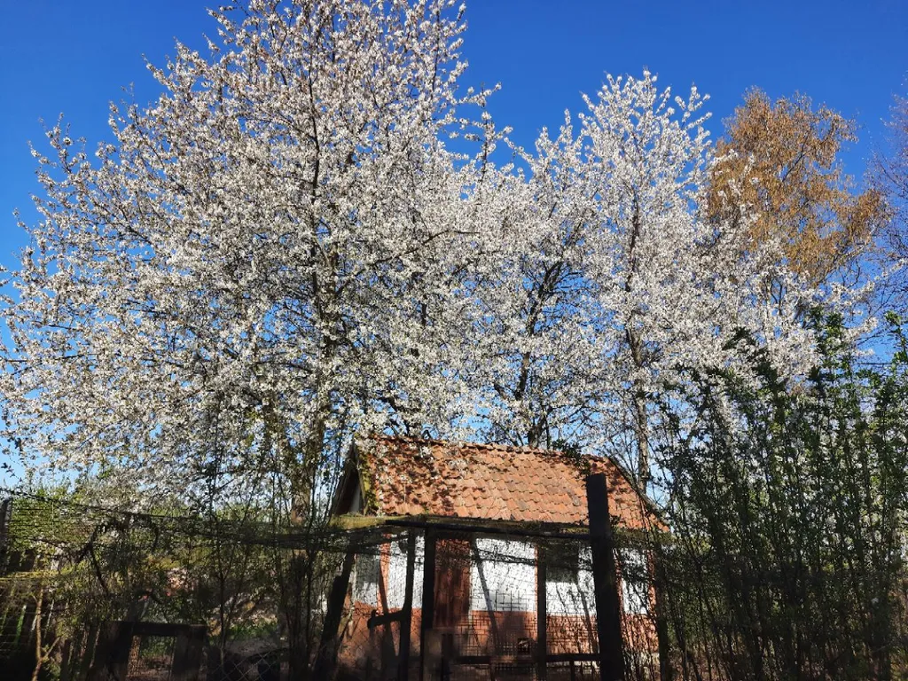 Домик в деревне в 5 километрах от моря