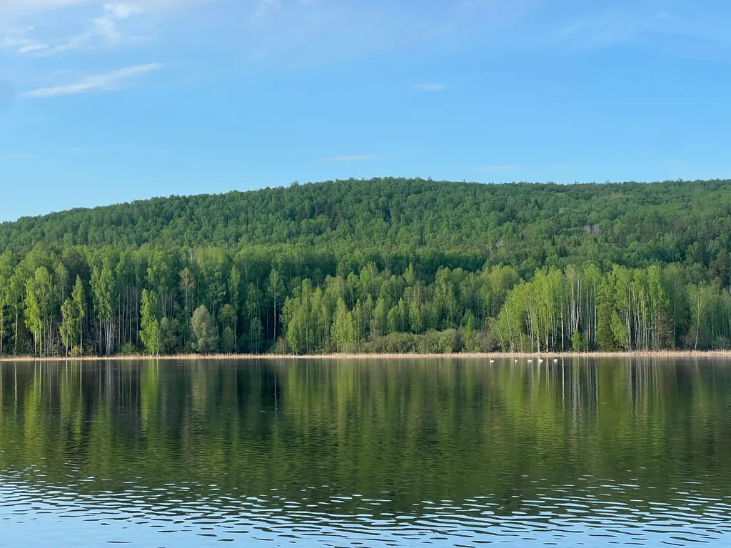 Деревянный дом  в лесу у реки
