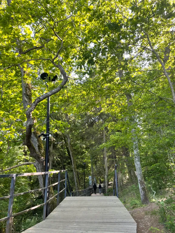 Квартира Стильные апартаменты с панорамным видом на море — Светлогорск