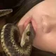Яна
