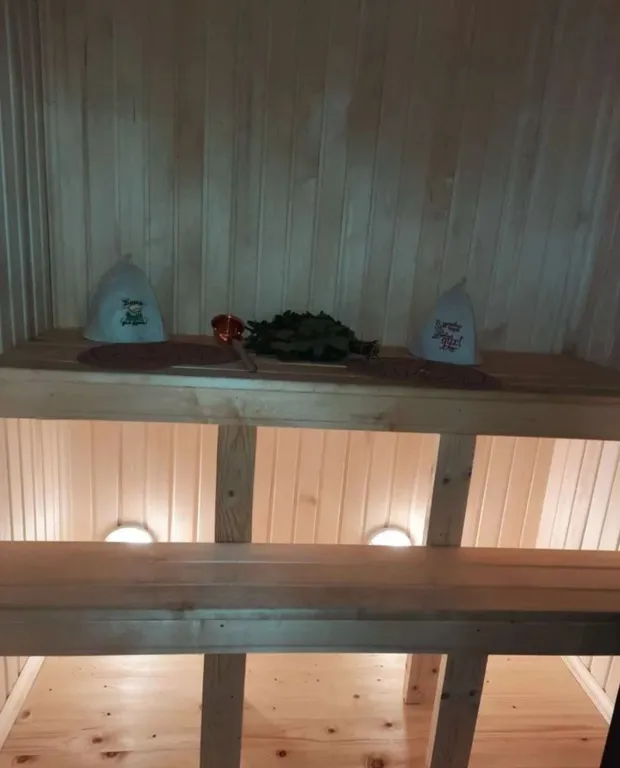 Дом-баня с видом на лес