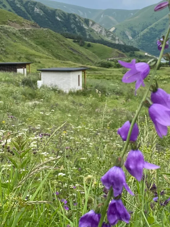 Коттедж "Горская сакля" — аренда посуточно в Ботлих