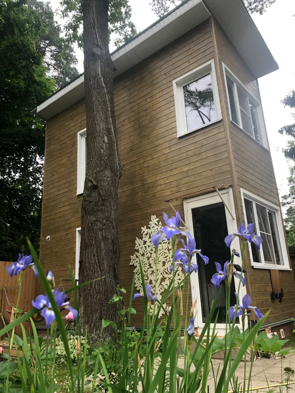 Аленький цветочек