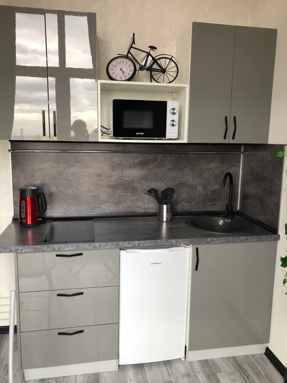 Стильный Лофт с качелями рядом с аэропортом Шереметьево