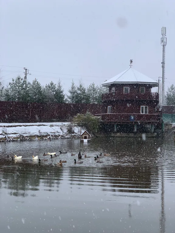 Дом у пруда