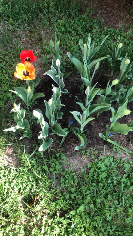 Дом в Раифе