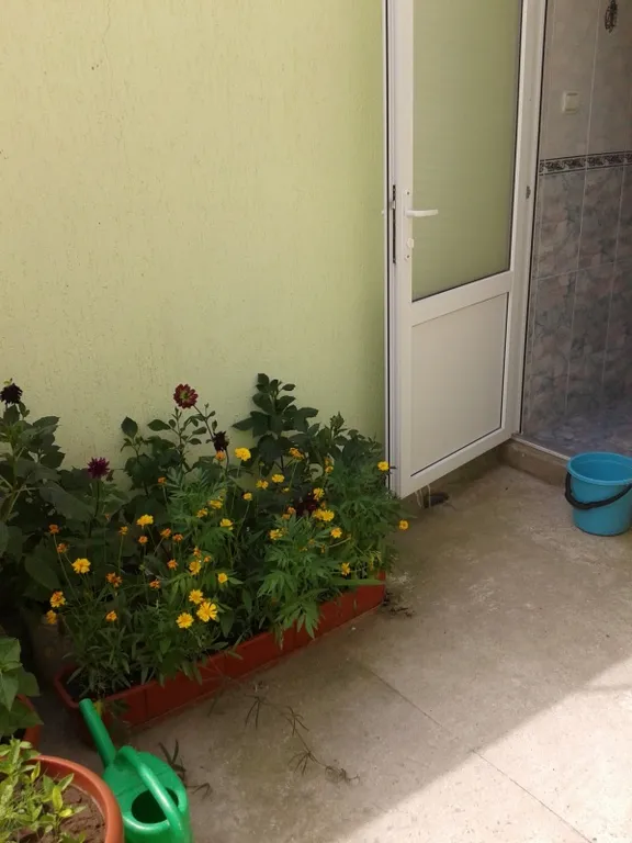 Квартира недалеко от моря