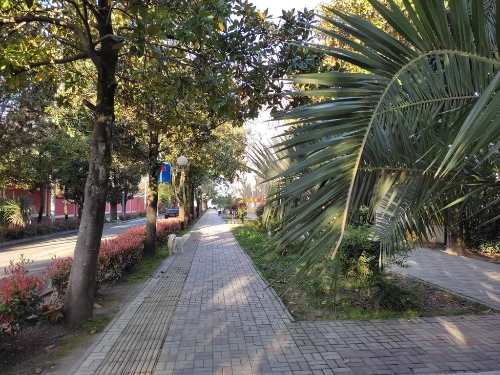 Квартира Квартира у самого Черного моря — Адлер