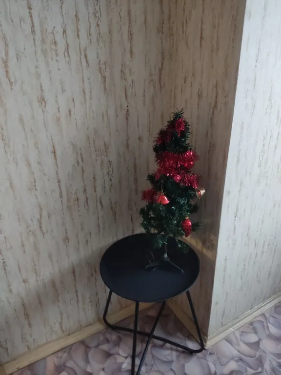 Уютная квартира у котёнка с Лизюкова