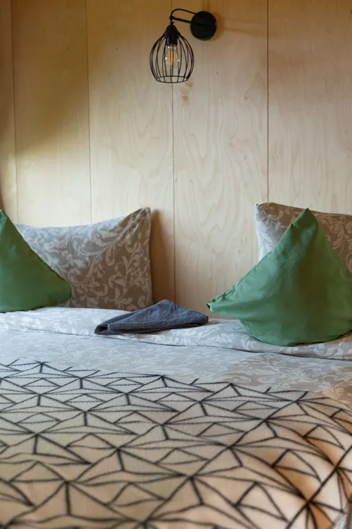 Папоротник