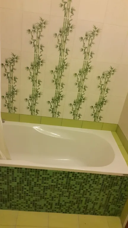 Квартира 1-комнатная Квартира — Светлогорск